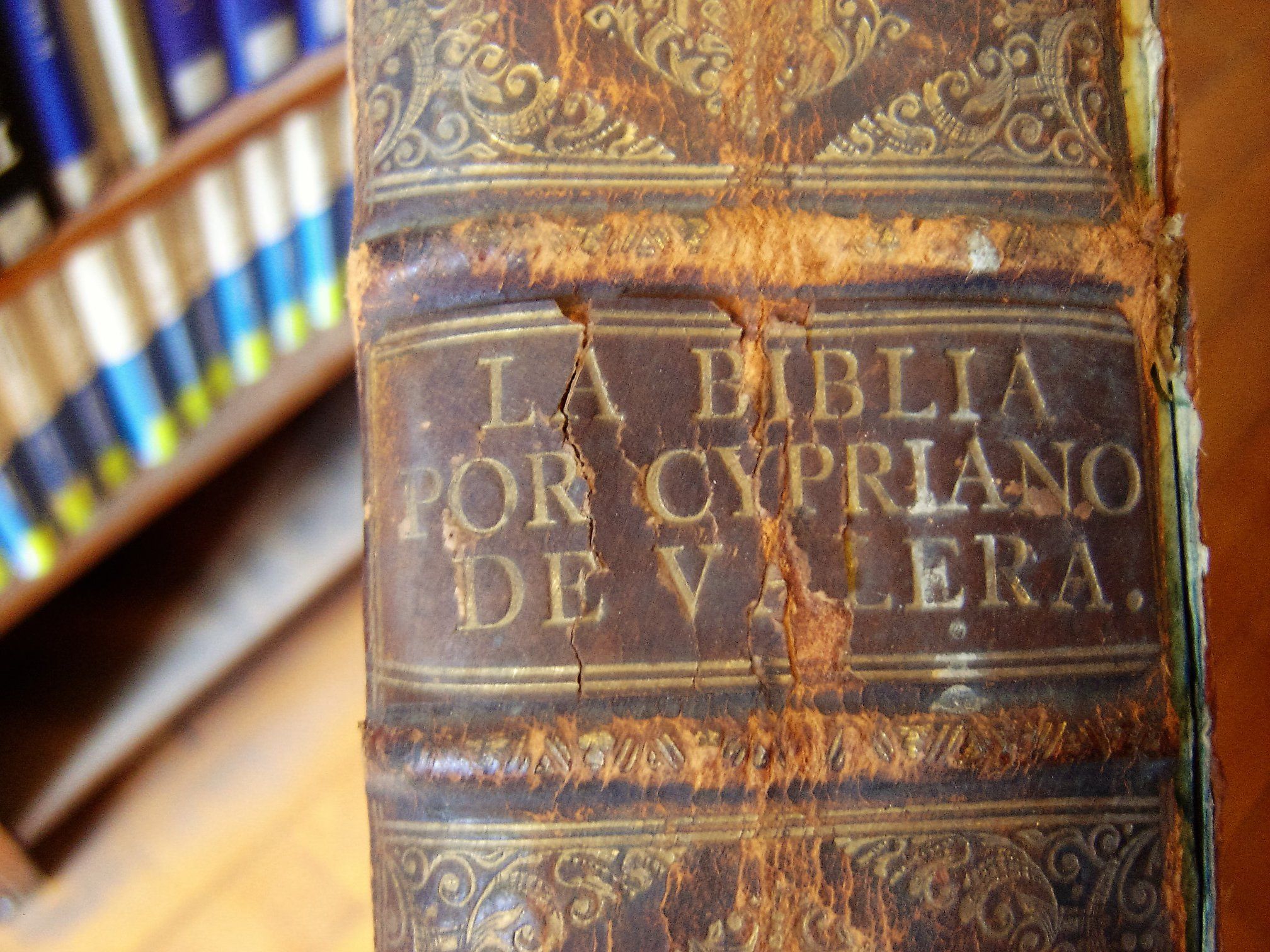 la biblia por cipriano de valera persona estudiando libro histórico en biblioteca